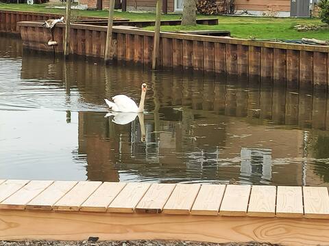 Cozy Canal Tiny Home | Sleeps 4 | Boat Parking