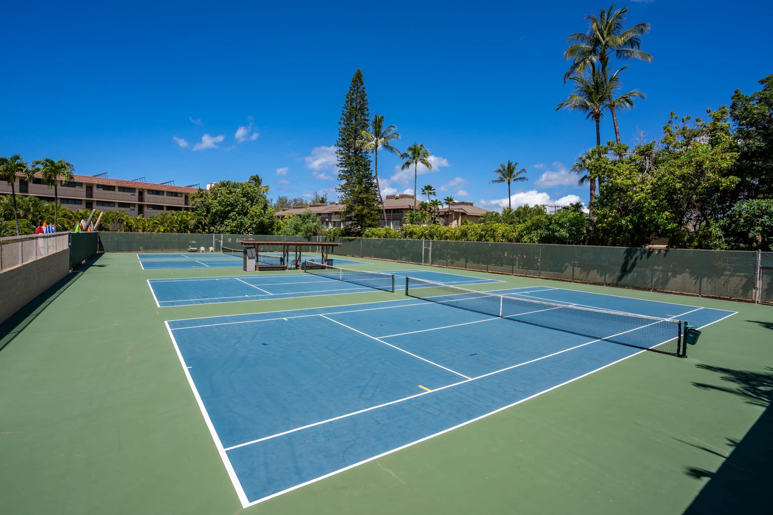 Your Perfect Kihei Vacation full of ALOHA - Image 42