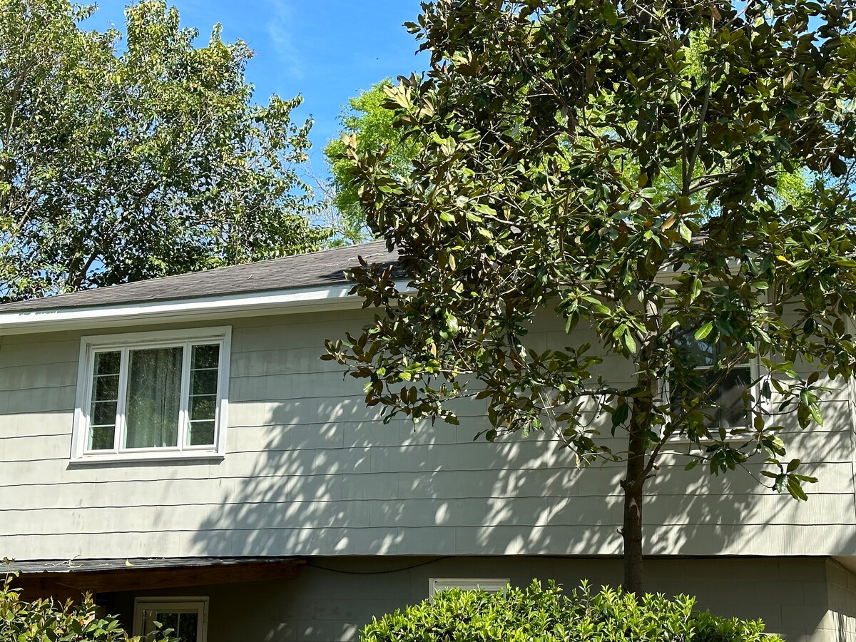 The exterior of a two-story home is shown, featuring light gray siding and a sloped roof. A large magnolia tree provides shade in the foreground, with bright green leaves and a clear blue sky in the background.