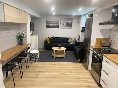 Successful Airbnb property: Sweet 2 bedroom apartment! in South End