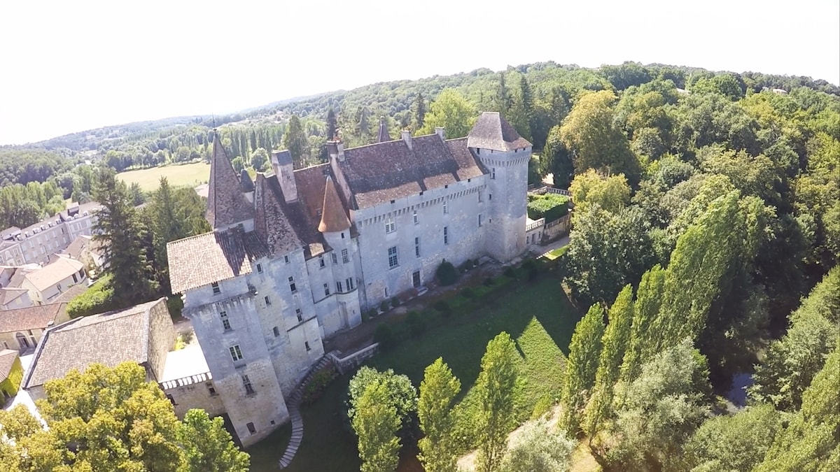An aerial view showcases a historic castle surrounded by lush greenery. The structure features multiple towers with pointed roofs, and the surrounding landscape includes well-maintained gardens and trees that create a natural frame around the castle.