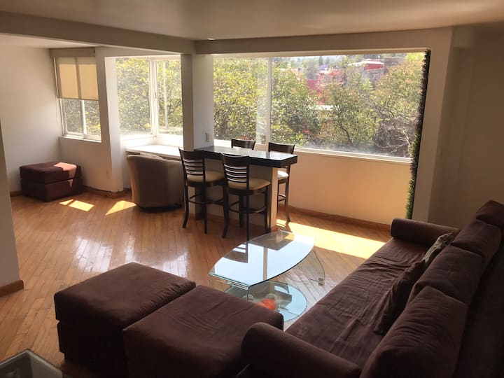 Adorable! Apartments for Rent in Mexico City, Ciudad de México