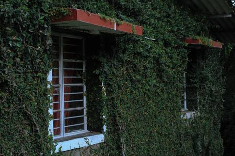 Waterfall Green House Vattakanal