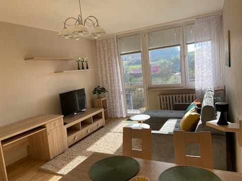 Top performing Airbnb: Holiday apartment in Ustroń