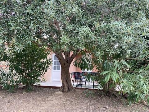 Cases des Oliviers - Gite Jungle with Pool