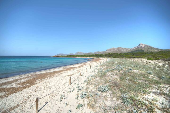 Finca junto a playa virgen 12PAX gallery image 4