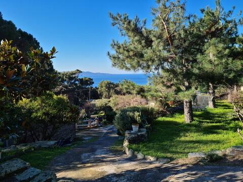 Peaceful house in the heart of nature, close to the sea