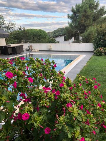 Deniz ve orman manzaralı havuzlu