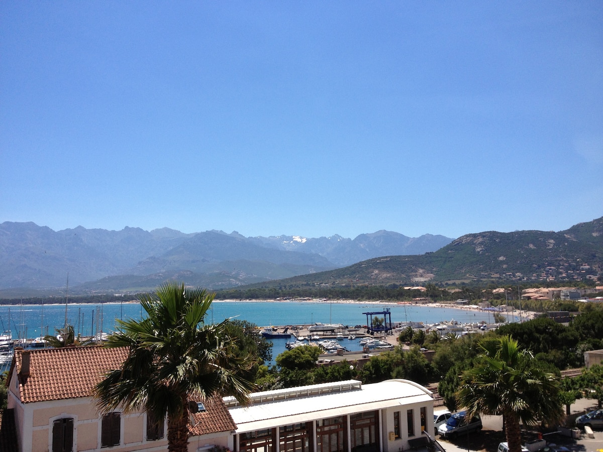 A panoramic view is presented, showcasing the serene bay of Calvi, adorned with boats and surrounded by lush greenery. The distant mountains are visible, some capped with snow under a clear blue sky, creating a beautiful backdrop to the coastal scenery.