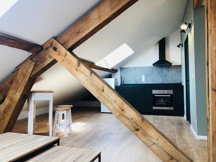 Chaleureux duplex centre historique Apartments for Rent in Dijon