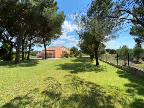 Alto dos Pinheiros Farm