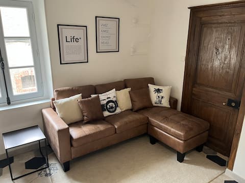 Popular Airbnb listing: 1-bedroom apartment in the city center in Bourges