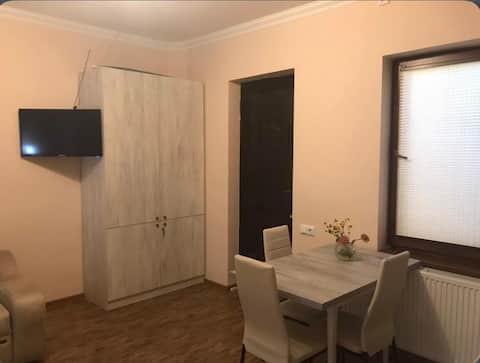 ANI-a Apartment in the city center