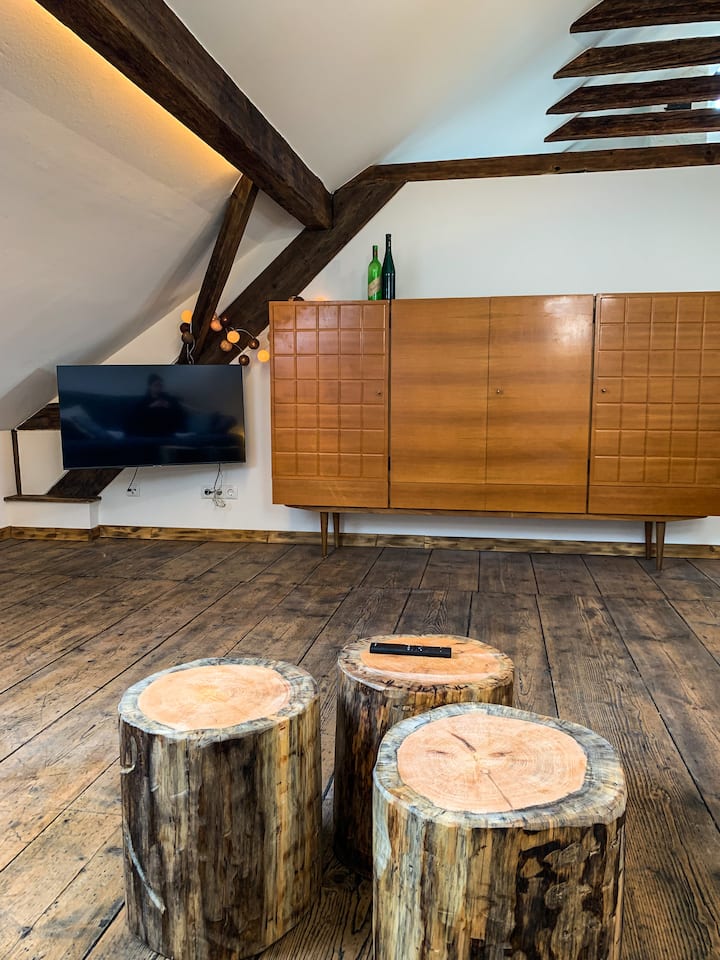 Dnevni boravak s Samsung UHD televizorom i besplatnim bežičnim internetom