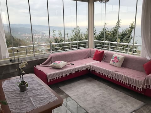 Detached house with a view