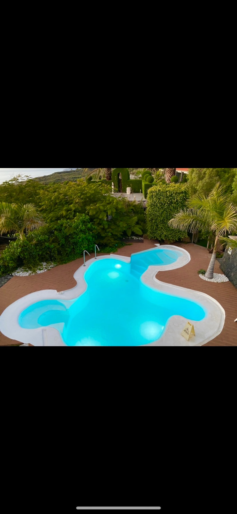 A refreshing pool is surrounded by lush tropical greenery, featuring a unique shape and a smooth, inviting surface. Sunlight reflects off the water, enhancing the tranquil atmosphere. Palm trees are visible nearby, contributing to the serene outdoor environment.