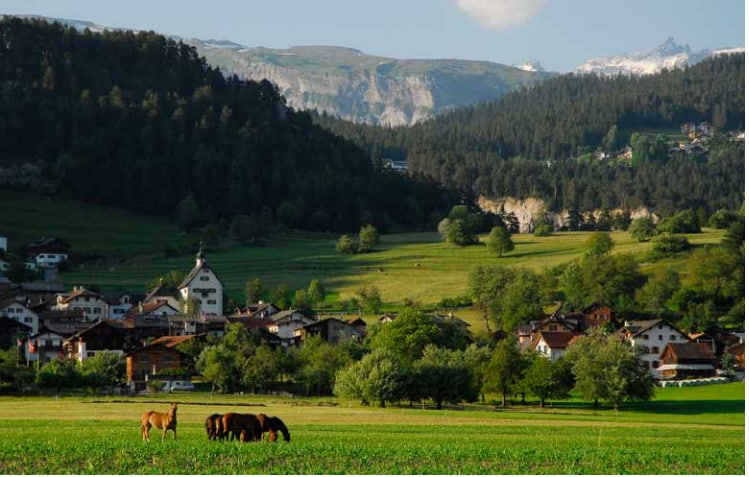 A scenic landscape features a pastoral setting with grazing cows in the foreground. Rolling hills are adorned with lush green grass, while a collection of traditional houses nestles within the valley. Majestic mountains rise in the background, some capped with snow.