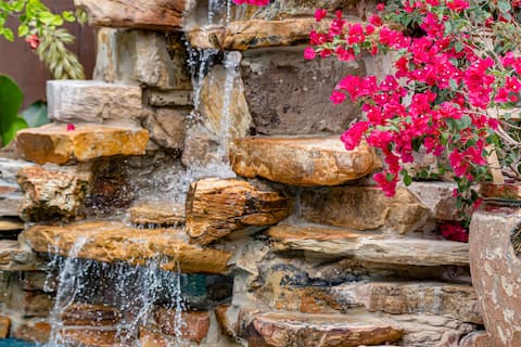 Waterfall House in Coral Gables Area