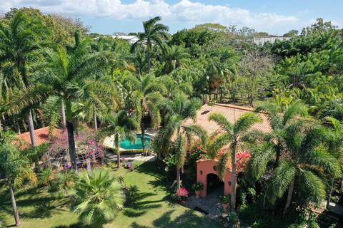 Casa de las Palmas
