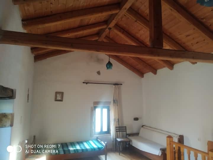 Ხის ჭერი  ოთახი მეორე 