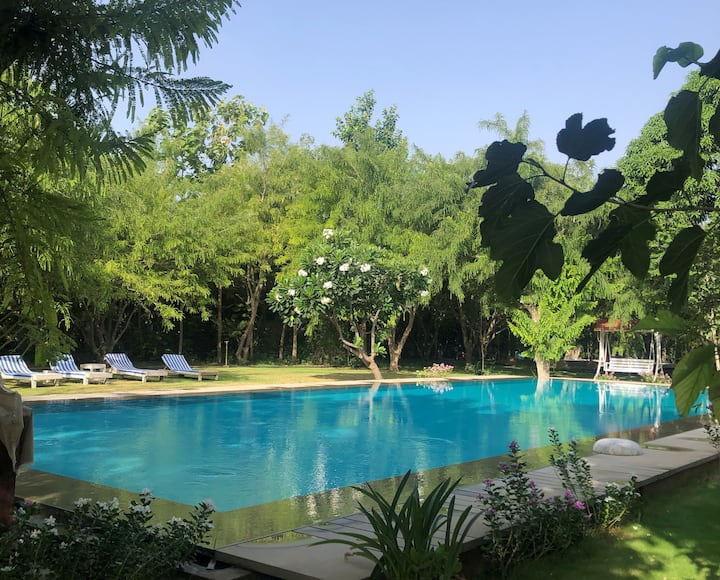 PushkarOrganic - Lux farm resort standard room