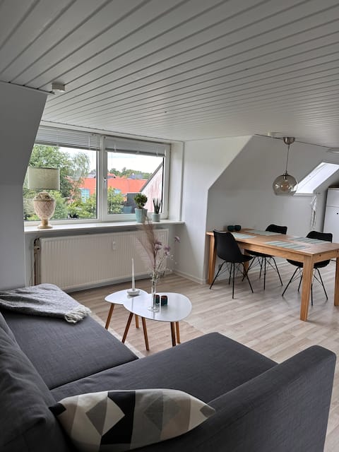 Cozy apartment of 65 sqm