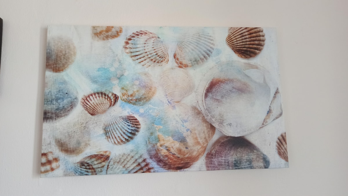 A collection of seashells is displayed in a gentle, soothing arrangement. The shells vary in size and design, featuring soft hues of white, beige, and light blue, evoking a sense of calm reminiscent of the sea. The background provides a subtle, textured surface.