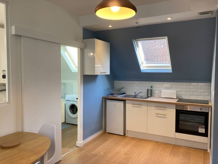 Charming 2 rooms nearby train stations and old Lille Apartments for