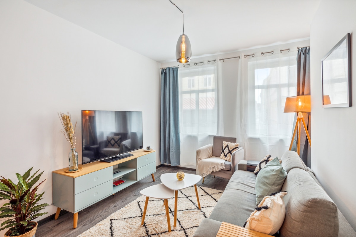 A bright living area is presented, featuring a spacious gray sofa and a cozy armchair. A stylish coffee table sits atop a patterned rug, with a large TV on a light wood cabinet. Natural light floods in through two large windows, adorned with light curtains.