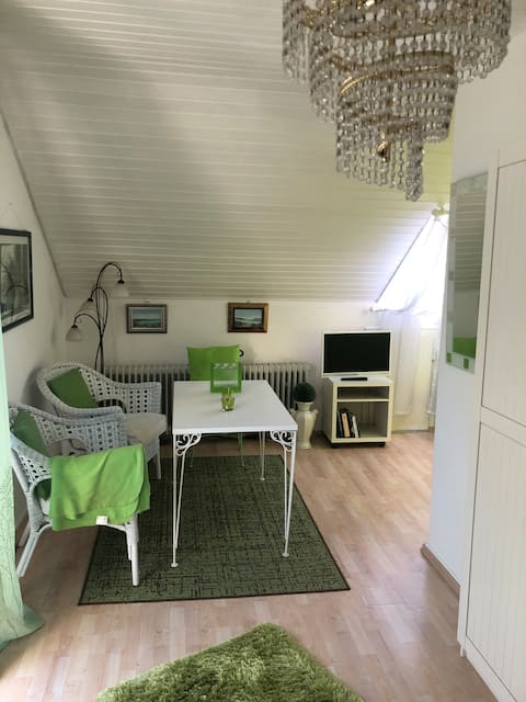 Cozy apartment right  at the spa park