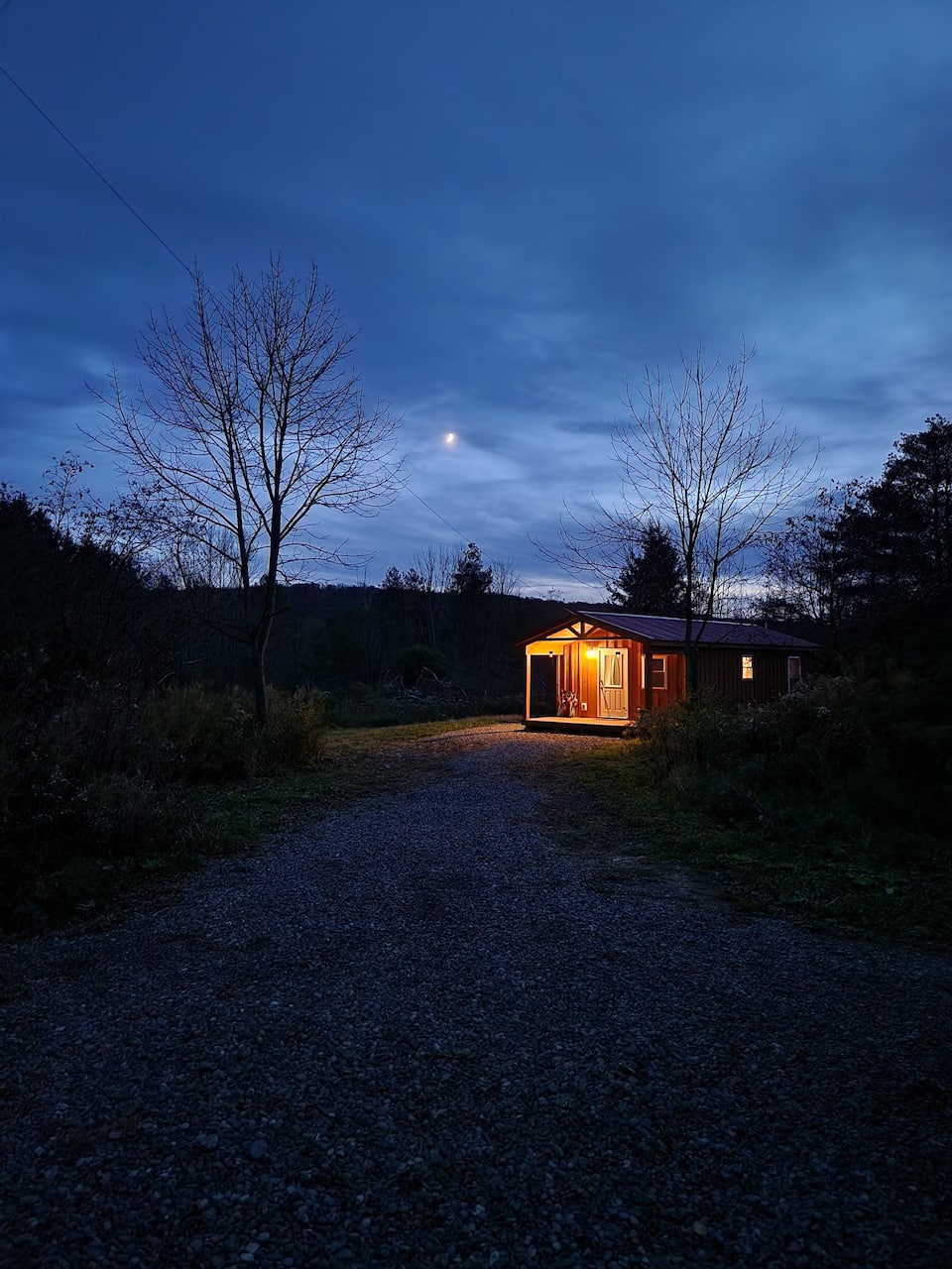 Forest Moon Cottage — photo 1