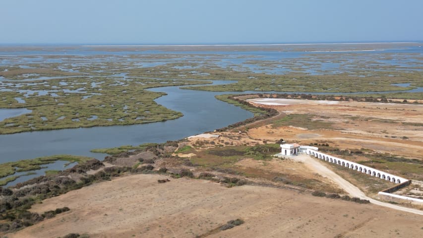 Guest favorite listing in Faro