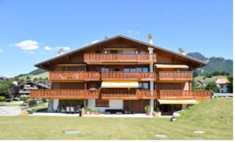 Cozy apartment between the Moléson & the Gastlosen