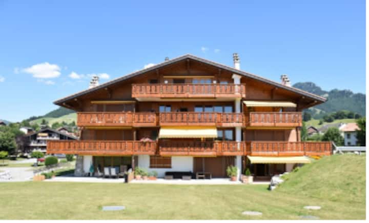 Cozy apartment between the Moléson & the Gastlosen