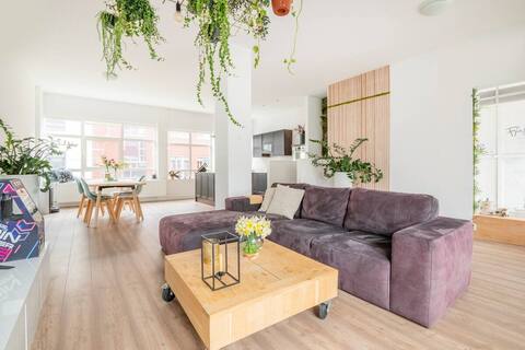 Apartment center Schiedam (cat)