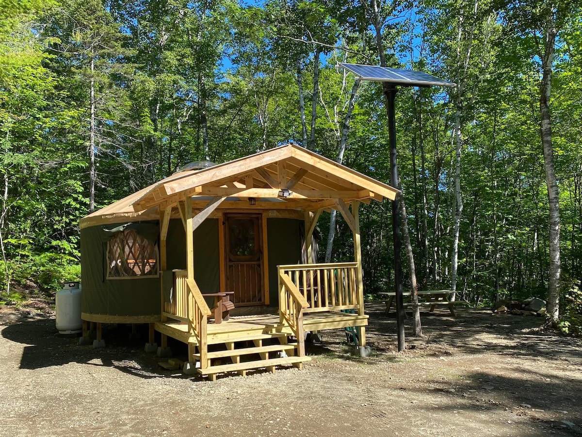 A cabin surrounded by lush greenery features a wooden deck with stairs leading to an inviting entrance. A solar panel stands nearby, showcasing sustainability in this natural setting. The structure is partially covered with green fabric, blending harmoniously with the forest.