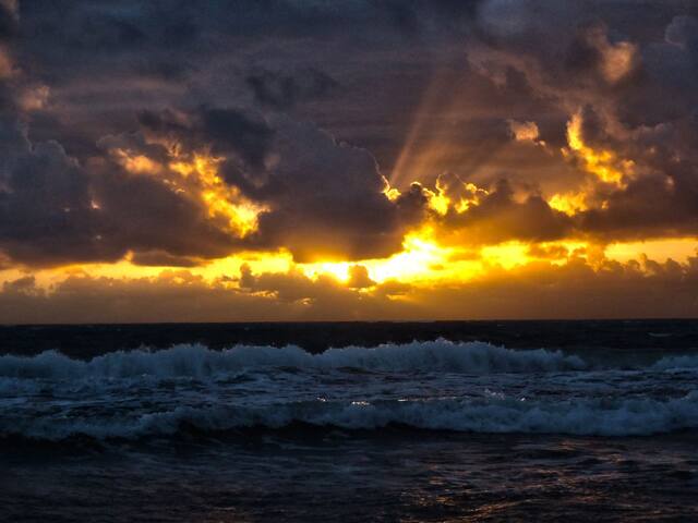 Coconut & Beach Paradise! Across from the Beach! gallery image 5