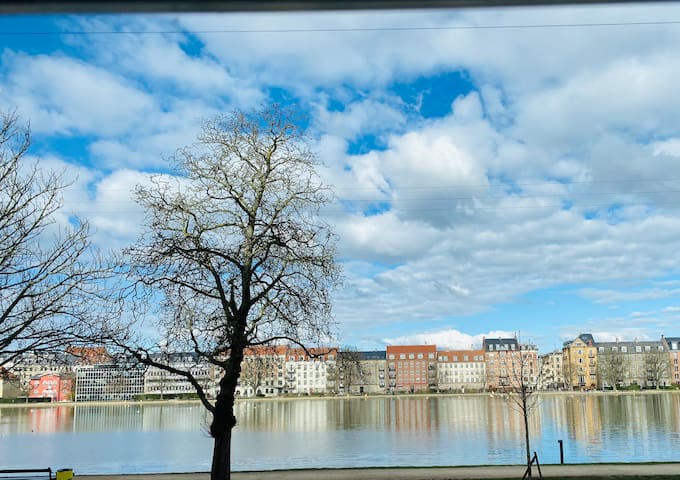 Beautiful appartment with lake view