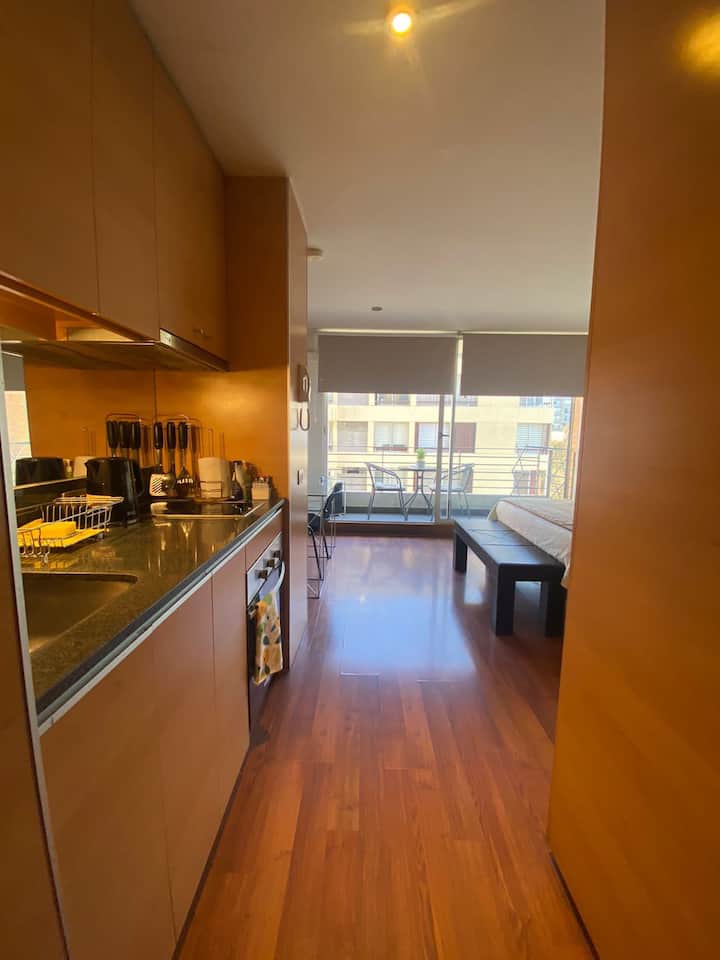 Maravilloso Departamento Studio - Providencia, Chile