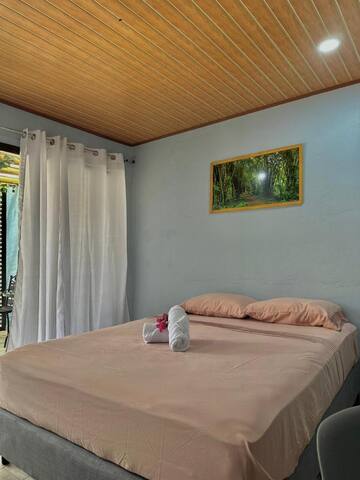 Mila Apartments Tamarindo #4