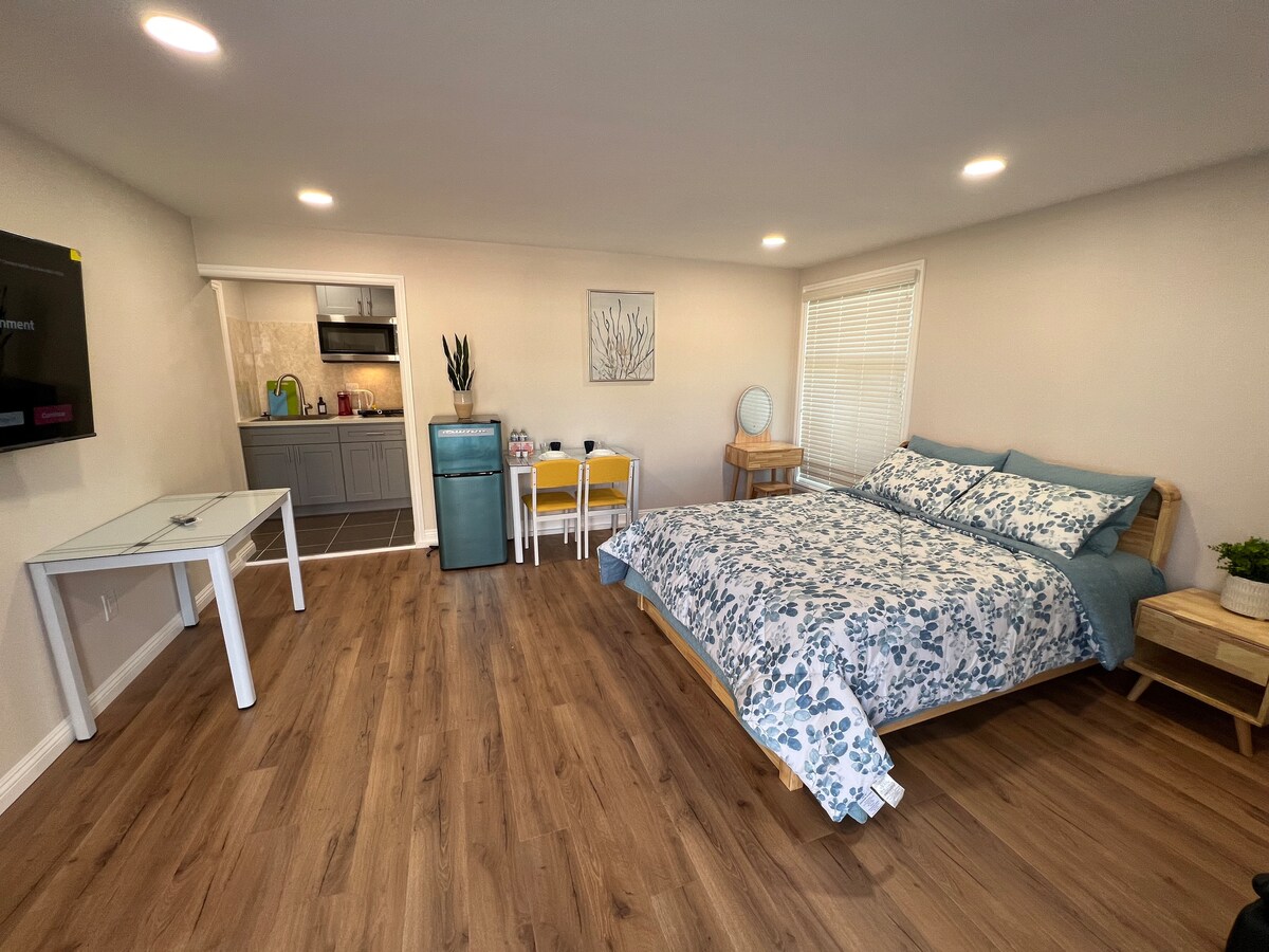 New Renovated Cozy Studio with Free Parking C4 Houses for Rent in