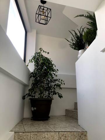 Urban Retreat Apartments managed Airbnb listing 1
