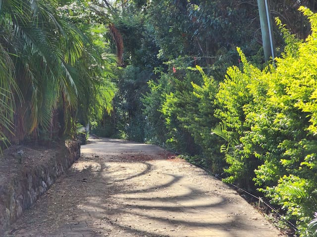 Family-Friendly Suburban Home