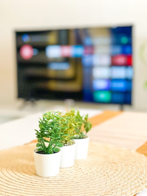 1-BR Haven 3 pax | Hi-Speed Net | Netflix | Garage