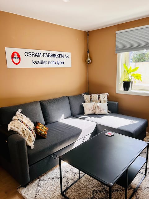 Top Airbnb: Beautiful spacious apartment in Nordre Follo