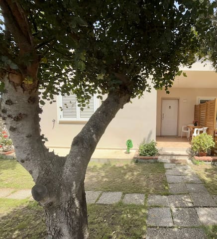 Guest favorite listing in Olbia