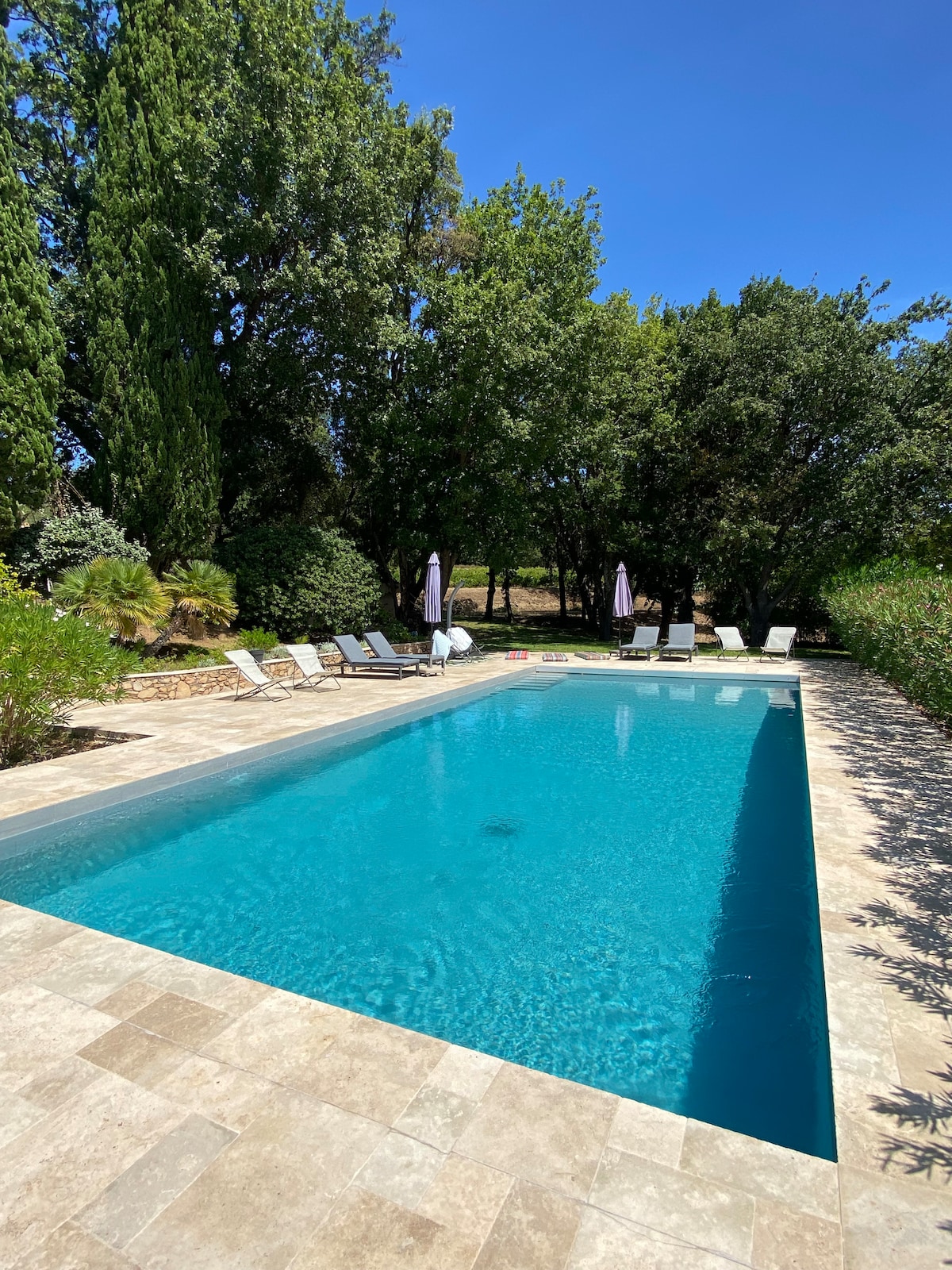 A rectangular swimming pool is surrounded by lush greenery and tall trees. Sun loungers are positioned along one side of the pool deck, providing space for relaxation. Shade umbrellas stand nearby, offering respite from the sun. The pool's clear blue water reflects the bright sky.