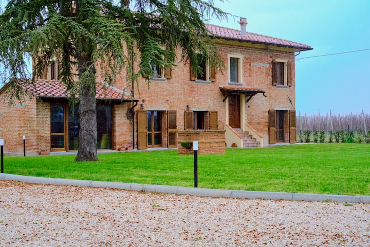 Chicco Di Grano - Sinalunga