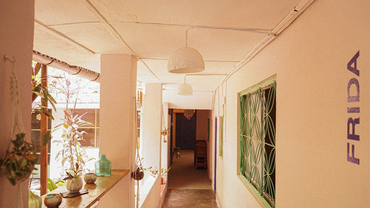 A light-filled corridor is framed by simple, pastel-colored walls. Green windows allow natural light to filter in, while hanging plants and decorative objects add a touch of greenery. Simple pendant lamps provide additional illumination, creating a calming and inviting space.