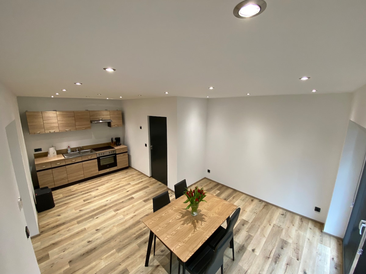 The open kitchen features modern wooden cabinetry and is equipped with essential appliances. A dining table with black chairs is centered in the spacious living area, accented by natural wood flooring and bright overhead lights.